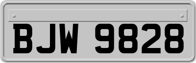 BJW9828