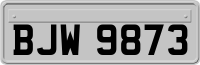BJW9873