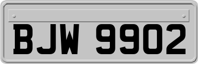 BJW9902