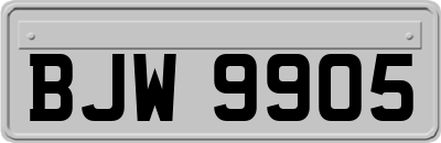 BJW9905