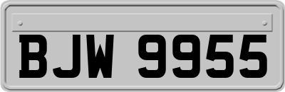BJW9955