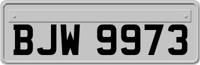 BJW9973