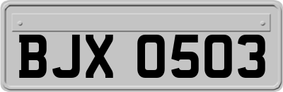 BJX0503