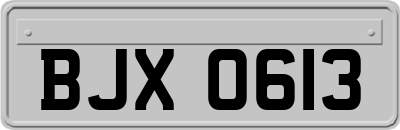 BJX0613