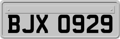 BJX0929