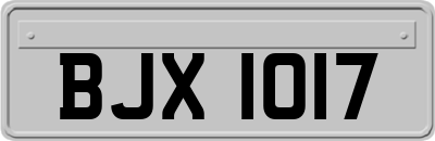 BJX1017