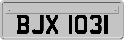 BJX1031