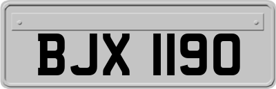 BJX1190