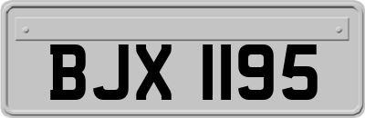 BJX1195