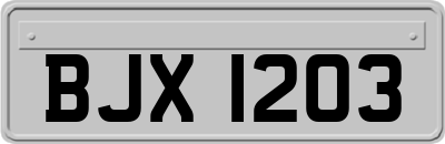 BJX1203
