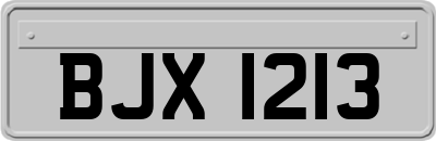 BJX1213