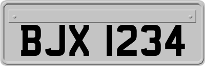 BJX1234