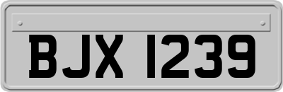 BJX1239