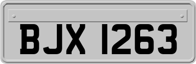 BJX1263