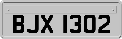 BJX1302