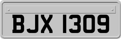 BJX1309