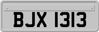 BJX1313