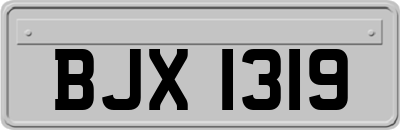 BJX1319