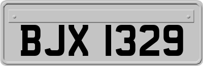 BJX1329