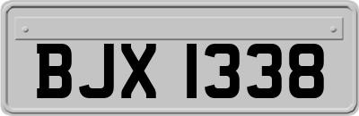 BJX1338