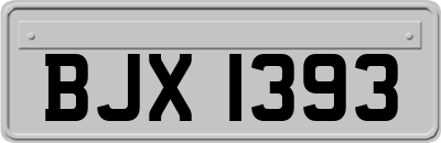 BJX1393