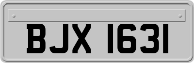 BJX1631
