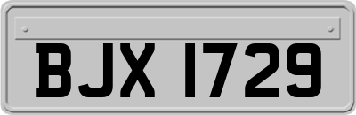 BJX1729