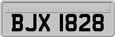 BJX1828