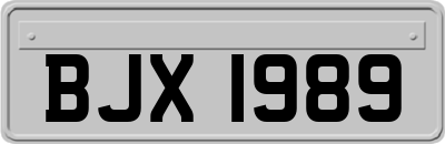 BJX1989