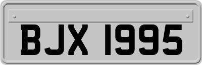 BJX1995