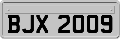 BJX2009