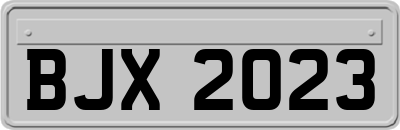 BJX2023