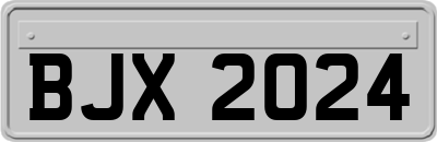 BJX2024