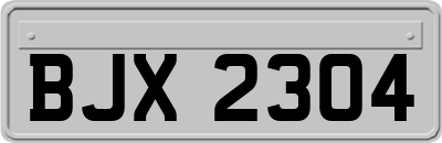 BJX2304