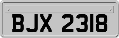 BJX2318