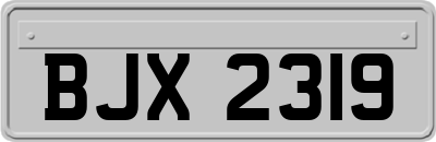 BJX2319