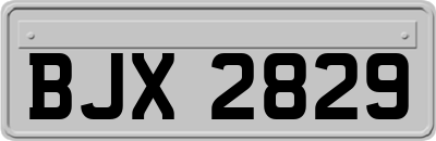 BJX2829