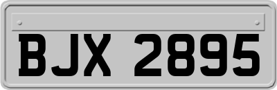 BJX2895