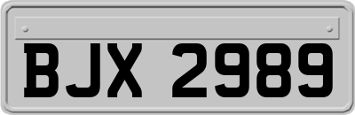 BJX2989