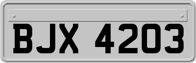 BJX4203