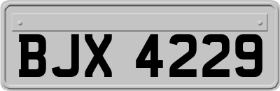 BJX4229
