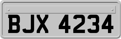 BJX4234