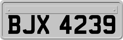 BJX4239