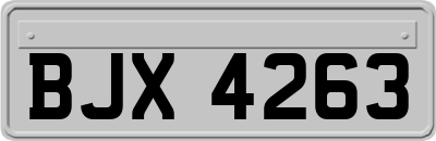 BJX4263