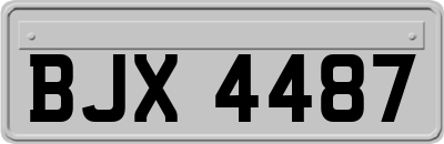 BJX4487