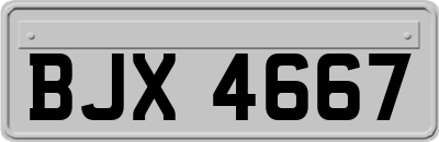 BJX4667