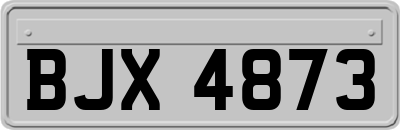 BJX4873