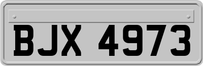 BJX4973