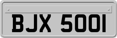 BJX5001