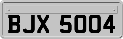 BJX5004